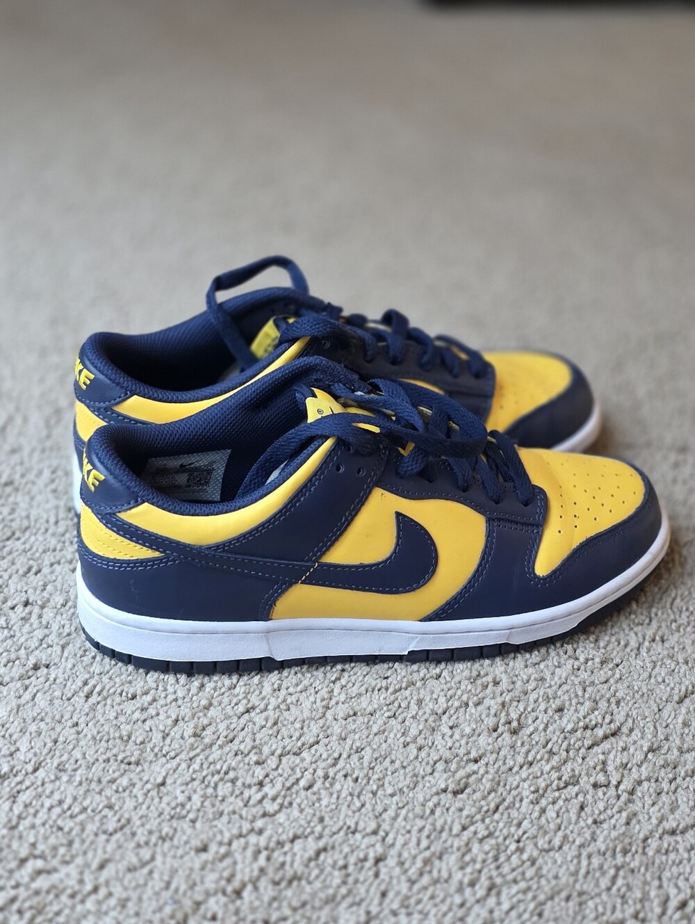 Nike Dunk Low (GS) "Michigan"